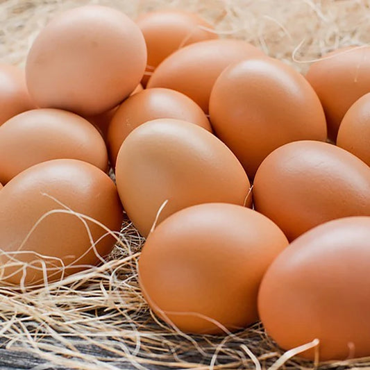 Local Organic Hand Packed Fresh Eggs - 1 Dozen