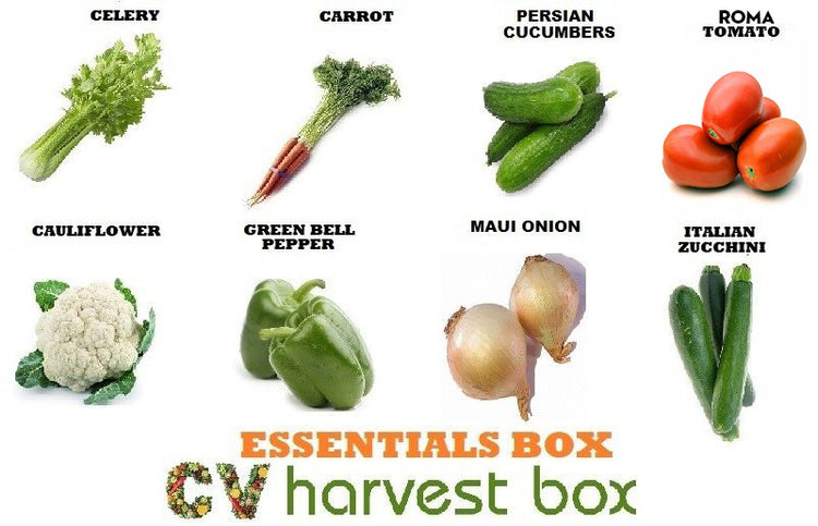 ESSENTIALS BOX