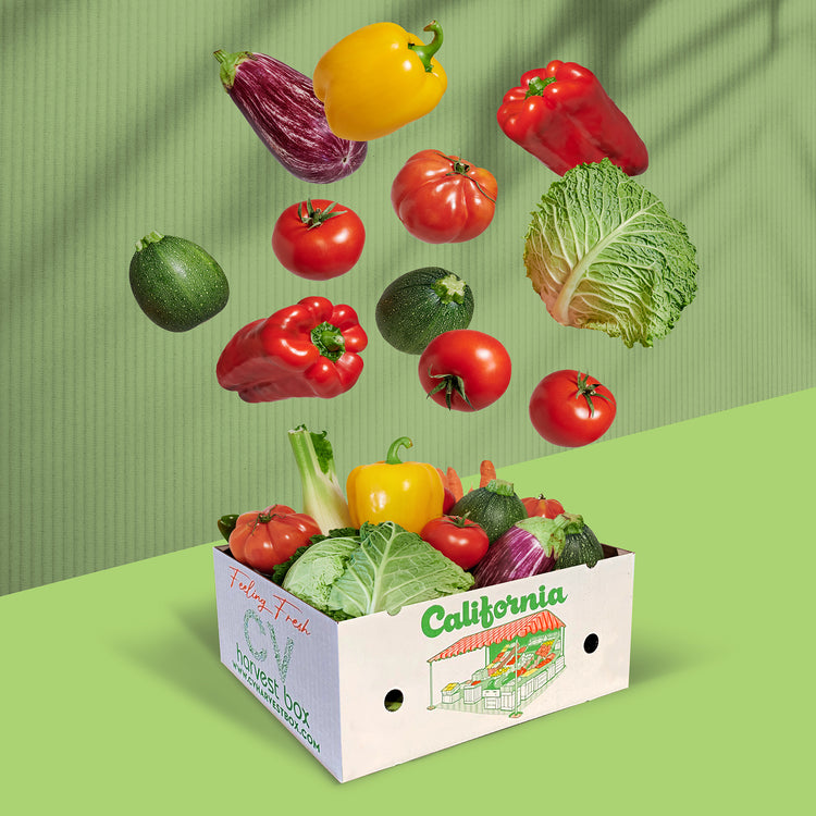 ESSENTIALS BOX
