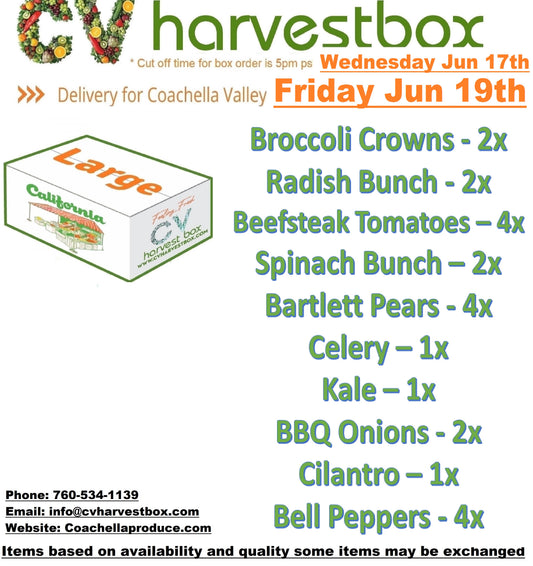 LARGE BOX