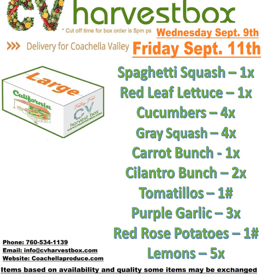 LARGE BOX