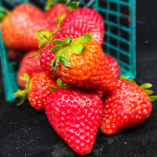 Local Organic Strawberries